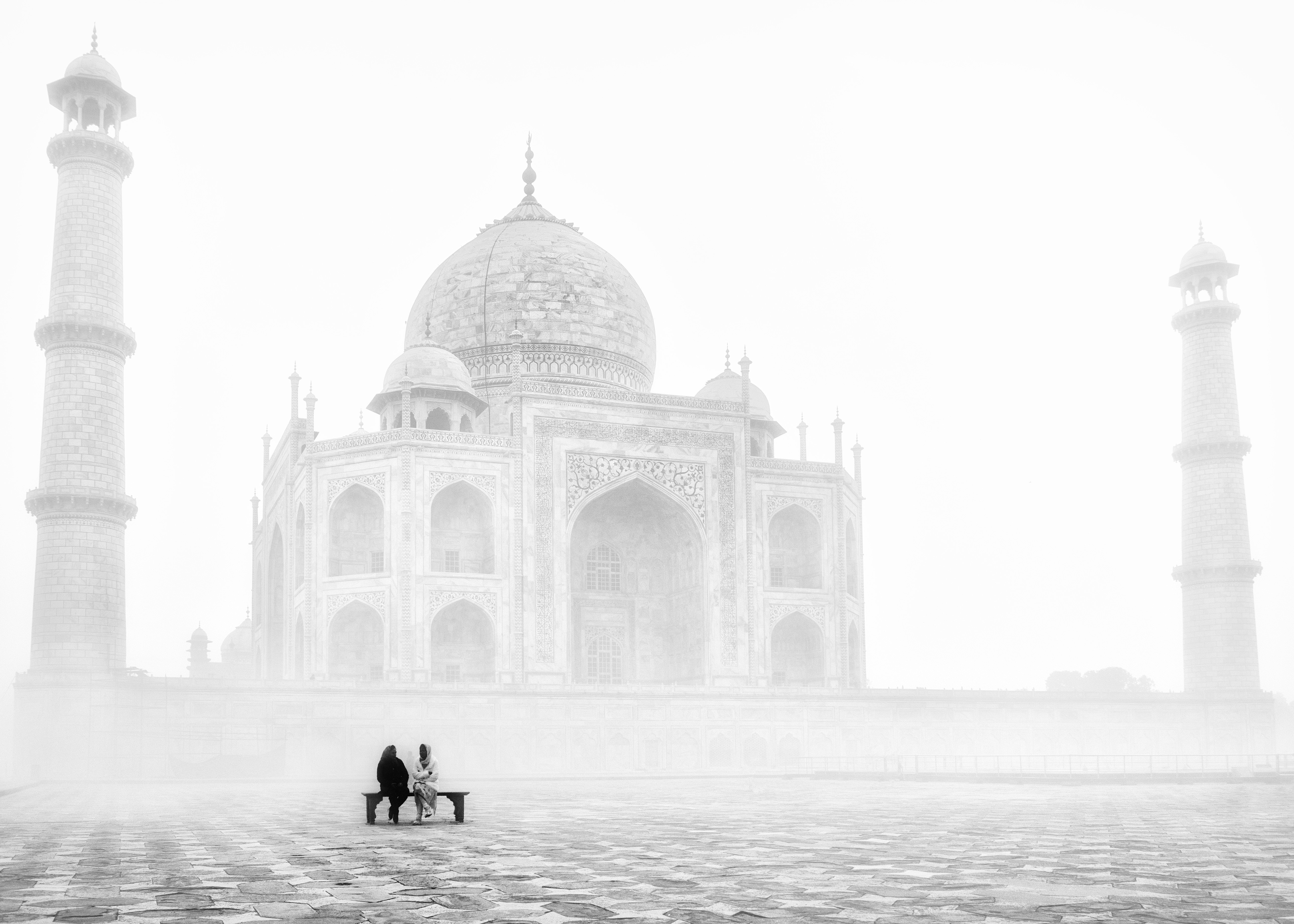 Taj in Winters
